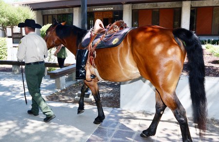 A riderless horse honored those who paid with their lives.